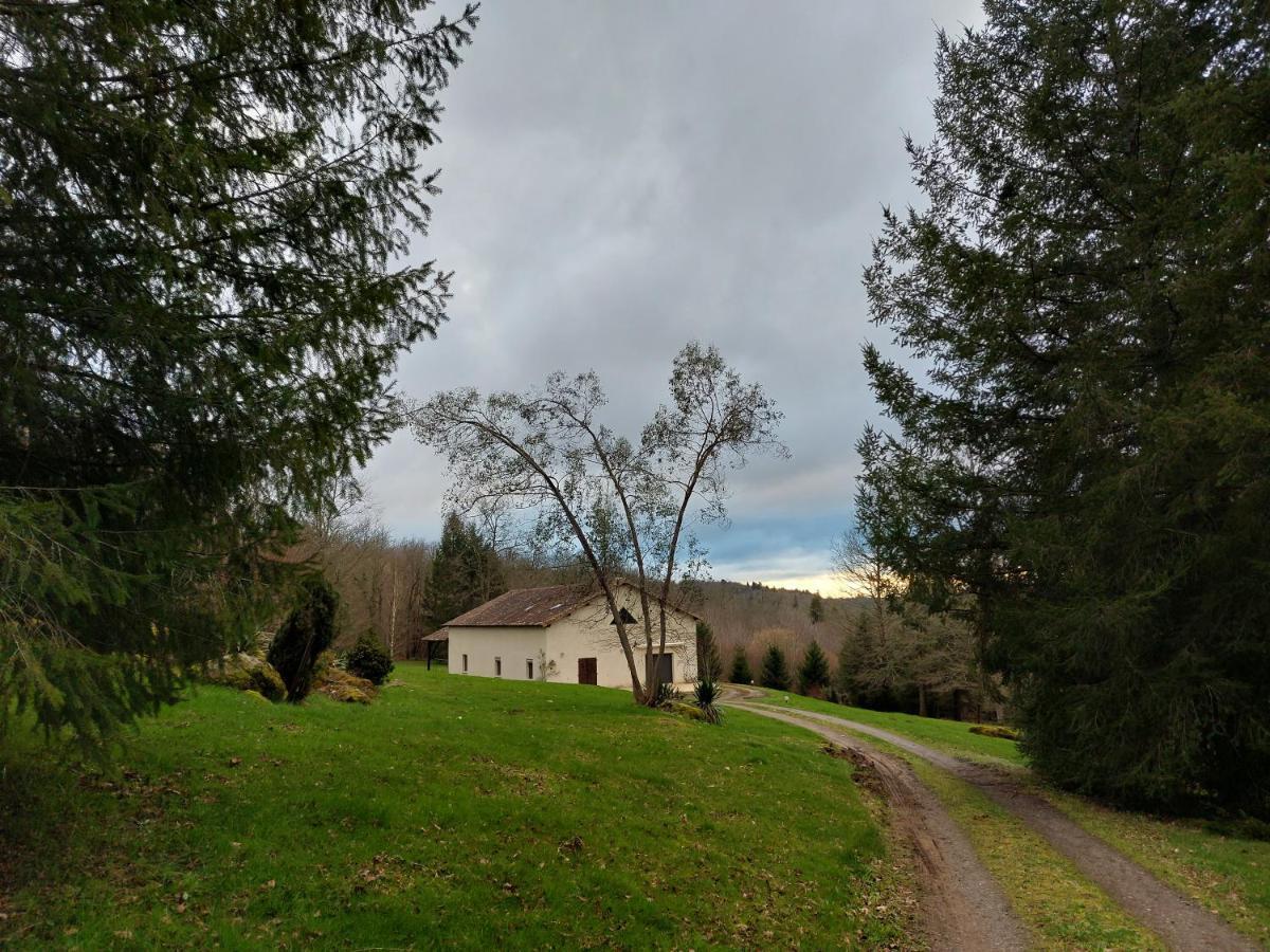 "Le Petit Bonheur" Gite Van 4 Tot 12 Personen Met Prive Vijver Van 2Ha Maisonnais-Sur-Tardoire ภายนอก รูปภาพ