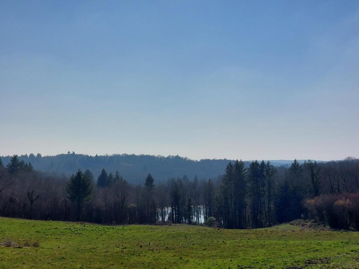 "Le Petit Bonheur" Gite Van 4 Tot 12 Personen Met Prive Vijver Van 2Ha Maisonnais-Sur-Tardoire ภายนอก รูปภาพ